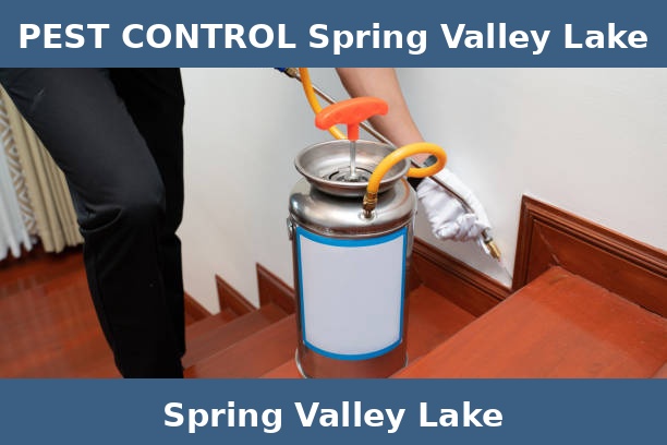 PEST CONTROL Spring Valley Lake